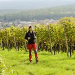 호텔 Boutique-hotel Im Weingarten