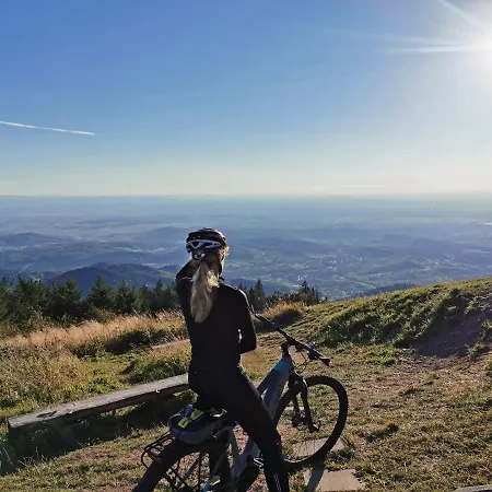 Hotel Boutique-hotel Im Weingarten Mullheim (Baden-Wurttemberg)