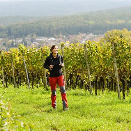 Hotel Boutique-hotel Im Weingarten